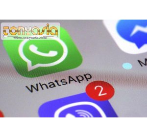 Sudah Bisa di Indonesia, Begini Cara Hapus Pesan di WhatsApp | Sabung Ayam Online | Bandar Judi Sabung Ayam